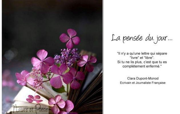 Lire
