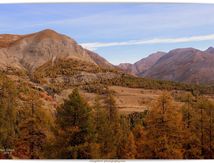 Le Seignus en Automne #1