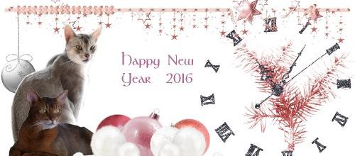 Bonne Année 2016 !!! 