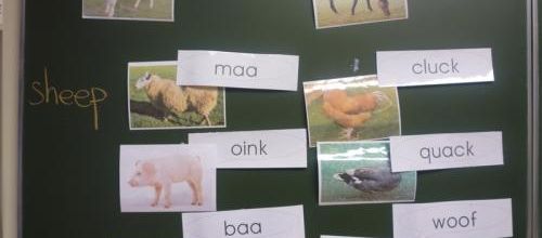 Les animaux de la ferme (chant anglais "let's go don to the farm")