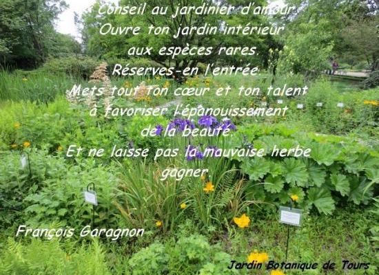 Citations en images : Conseil au jardinier d'amour