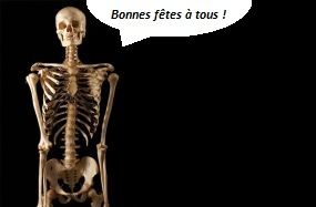 Joyeux Noël et Bonne année !