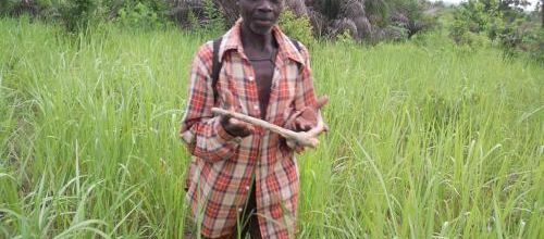 avril 2016 sur le terrain agricole