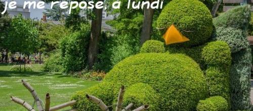 Pas encore la grande forme