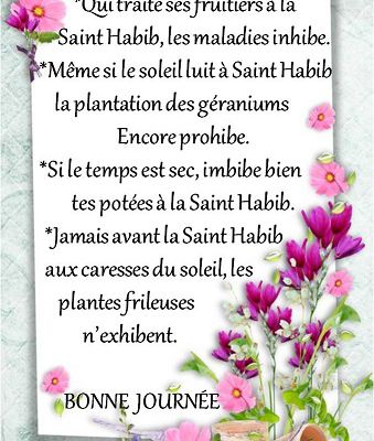 Dictons et Fête du jour + grille prénom  ! Habib