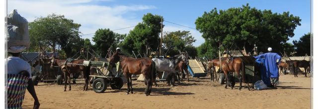  Marché de brousse nov 2019