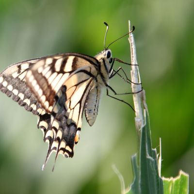historique de mon Village, partager mes passions