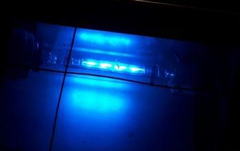 Deux courts métrages québécois au festival de Cannes 2011