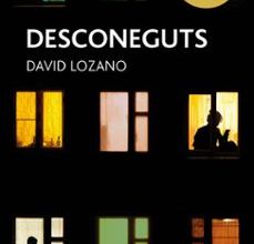 DESCONEGUTS (PREMI EDEBE DE LITERATURA JUVENIL 2018)  ePub gratis