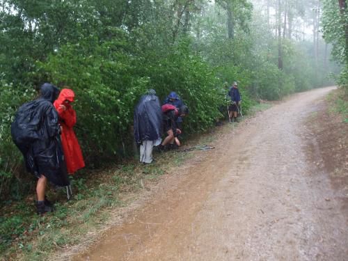 "Combe Grivot " - Dimanche 26 juillet 2020