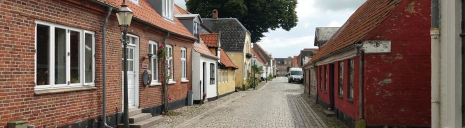Carnets du Danemark ~ Ribe #1