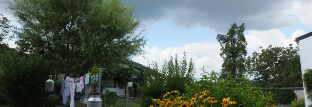 Hier au jardin