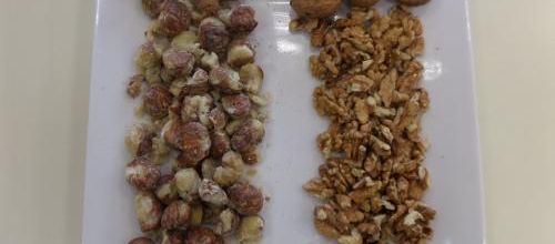 Dégustation de fruits d'automne