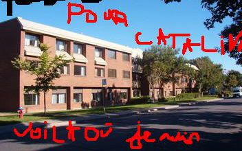 pour catalina