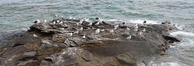 Quiberon en balade (1)