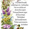 Dictons et Fête du jour Donald + grille prénom   !