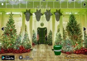 Big Find the Christmas bouquet soluce