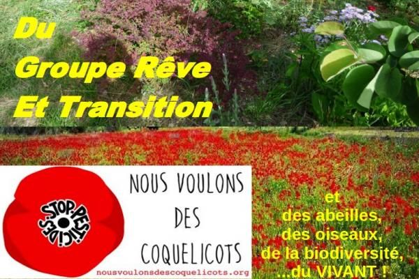 *VOEUX 2019 !!!