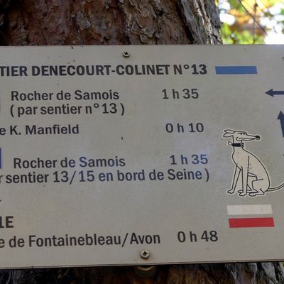Dans la forêt de Fontainebleau (2/3)