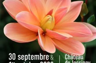 C'est bientôt les journées des plantes à Jossigny !