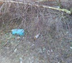 week-end du 20 au 22 janvier 2017
