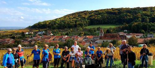 CR RANDO DES VIGNES A BRULEY LE 17/10/2022