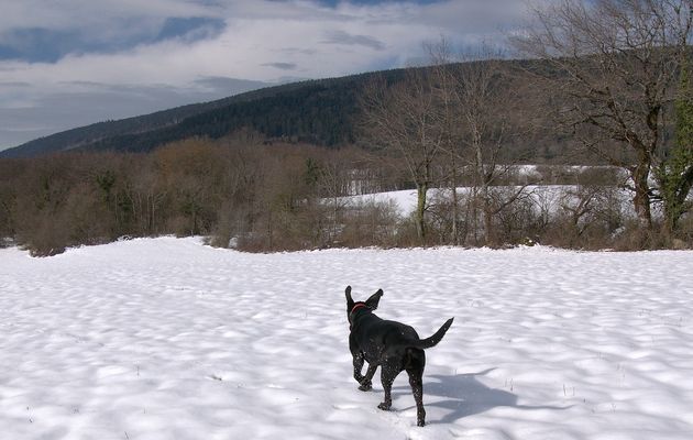 Le 6 avril 2019 : la course de Mira