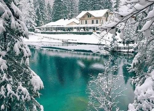 La nature en hiver 