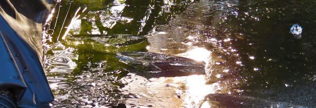 Reflets givrés !