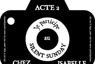 silent sunday