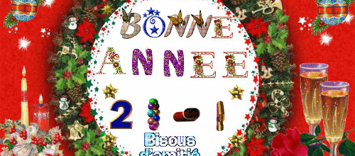 BONNE ANNEE 2014