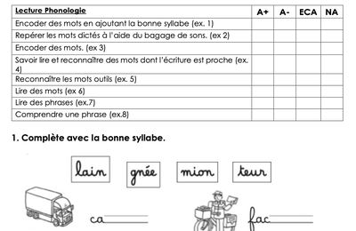 Différenciation : évaluation lecture (niveau équivalent à la fin de Période 5)