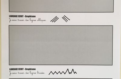 Brevets de graphisme : la trace du geste maîtrisé