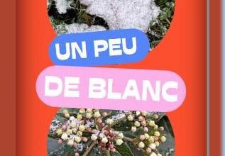 Jeudi 05 janvier 2023