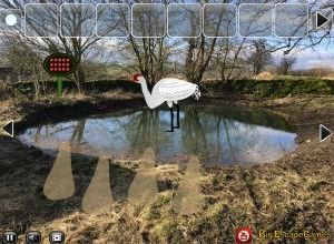 Big Help the crane friend soluce