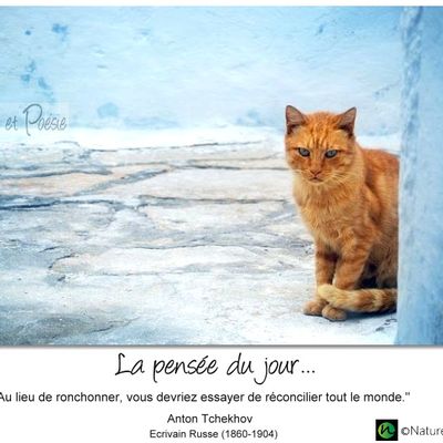 La pensée du jour (226)
