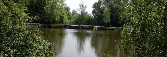 La forêt de Bondy (2/2)