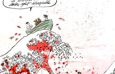 73 millions de requins sacrifiés chaque année pour les "gourmets" chinois