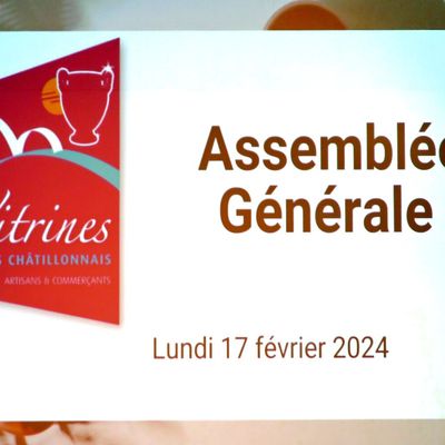 L'Assemblée Générale des Vitrines Châtillonnaises a montré la vitalité de cette association de commerçants !