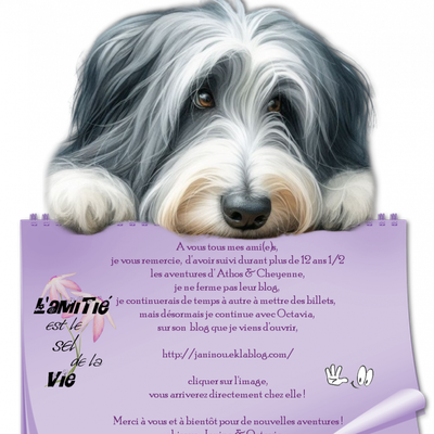 ♥ Lien nouveau blog d'Octavia ♥ Janine 