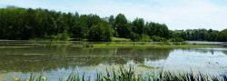 R 15/ CR  - RIONS- Lac de LAROMET