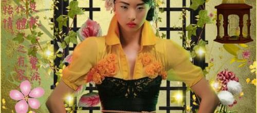  jolie Geisha .
