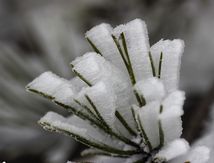 Quand le vent et la neige jouent ensemble...