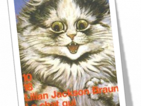 Le chat qui racontait des histoires