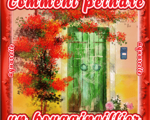 Dessin et peinture - vidéo 3979 : Comment peindre un bougainvillier ? - aquarelle.
