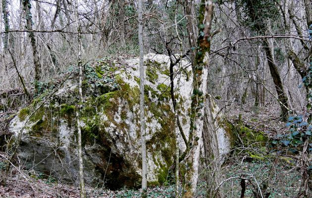 Préparation 3 : De Champagne en Valromey à Talissieu - 2