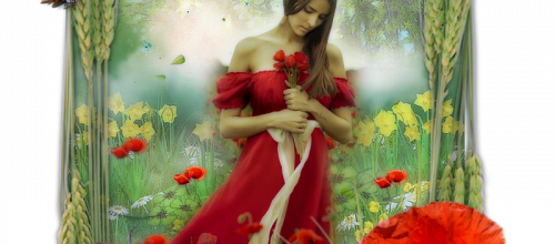  Les coquelicots...