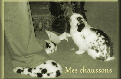 Mes chaussons