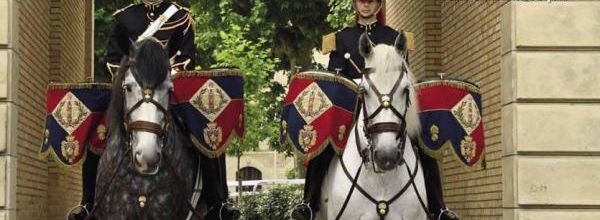 Fête du cheval Percheron le 15 août à l'Ecomusée
