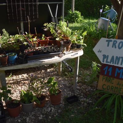 Troc de plants dans le parc des Cormiers.
